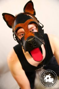 Gay bad puppy BadPuppy: Archer