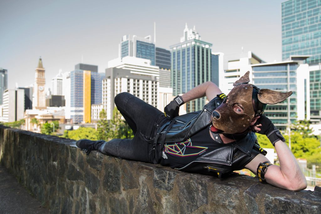 Queensland Pup & Handler Competition 2018 Review